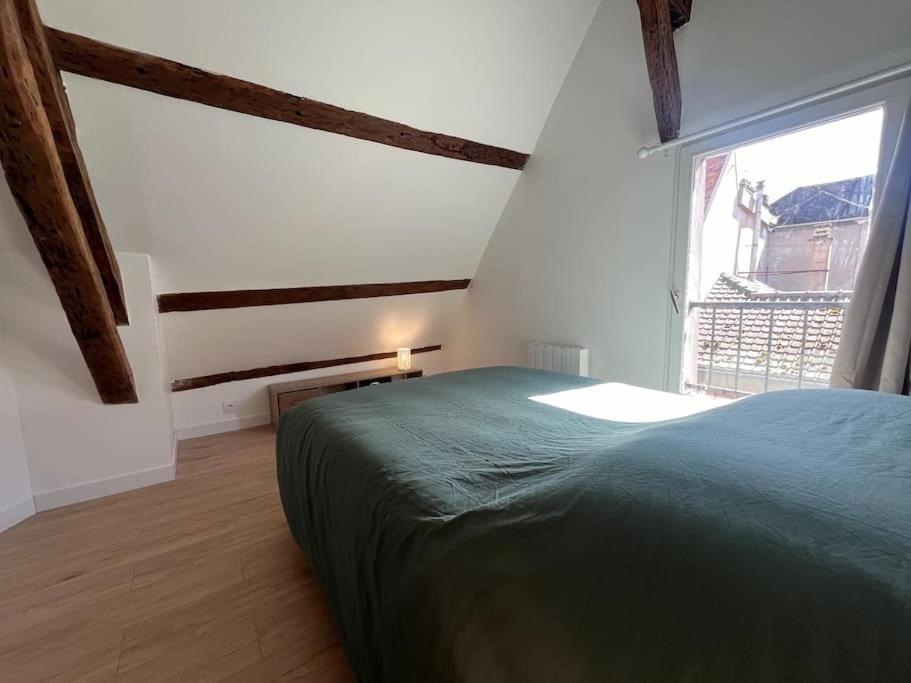 Le Cosy - Hyper Centre Ville Sens Ngoại thất bức ảnh