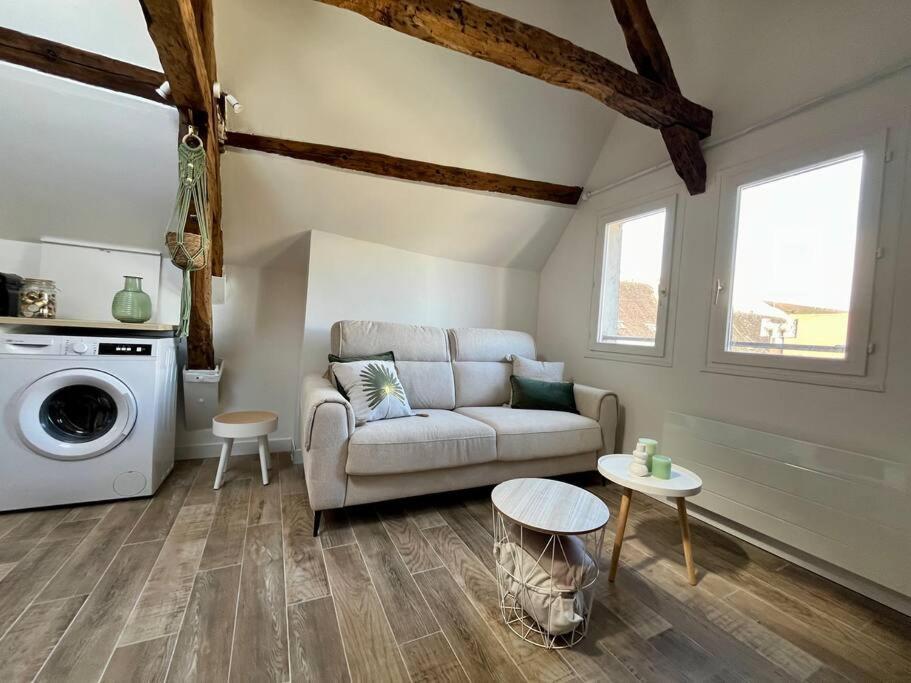 Le Cosy - Hyper Centre Ville Sens Ngoại thất bức ảnh